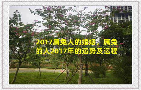 2017属兔人的婚姻，属兔的人2017年的运势及运程