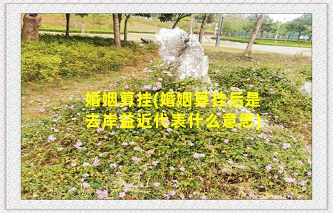 婚姻算挂(婚姻算挂后是去岸益近代表什么意思)