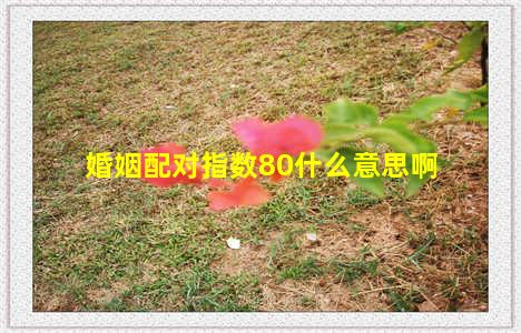 婚姻配对指数80什么意思啊