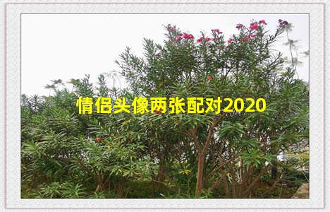 情侣头像两张配对2020