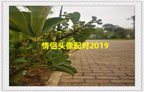 情侣头像配对2019