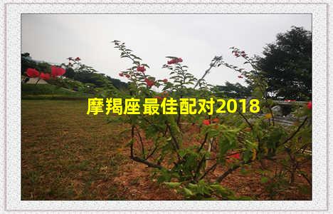 摩羯座最佳配对2018