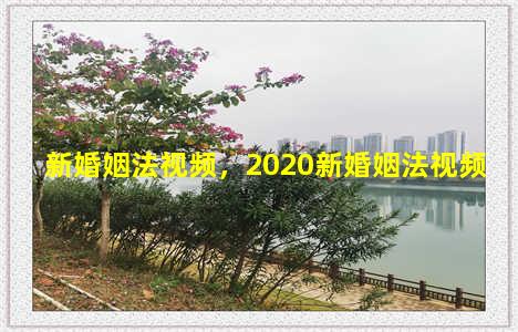 新婚姻法视频，2020新婚姻法视频