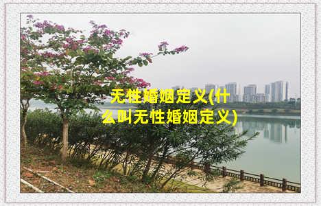 无性婚姻定义(什么叫无性婚姻定义)