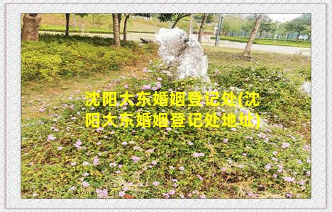 沈阳大东婚姻登记处(沈阳大东婚姻登记处地址)