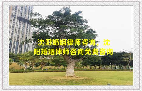 沈阳婚姻律师咨询，沈阳婚姻律师咨询免费咨询