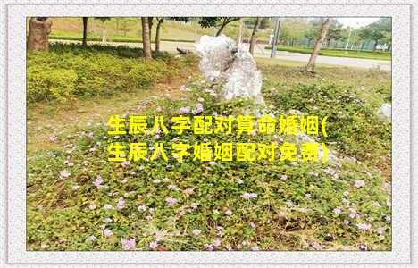 生辰八字配对算命婚姻(生辰八字婚姻配对免费)